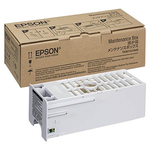 EPSON T699700 (C13T699700) Resttintenbehälter, 1 St.