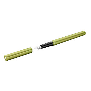 Pelikan Ineo® Elements P6 Patronenfüller Green Oasis M (mittel), 1 St.