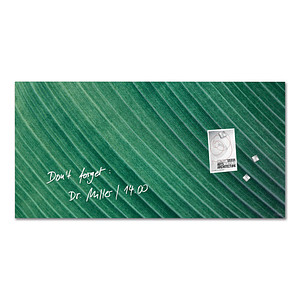 SIGEL Glas-Magnettafel artverum® 91,0 x 46,0 cm Design Palm Leaf matt