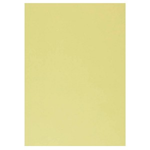 xerox Durchschreibepapier Schlussblätter Carbonless 003R99076 A4 xerox Durchschreibepapier Schlussblätter Carbonless 003R99076 A4