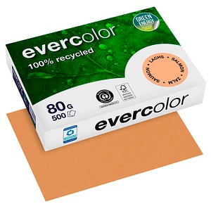Clairefontaine Recyclingpapier Evercolor lachs DIN A4 80 g/qm 500 Blatt