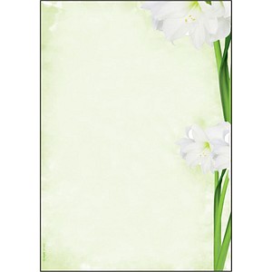 SIGEL Motivpapier Green Flower Motiv DIN A4 90 g/qm 25 Blatt